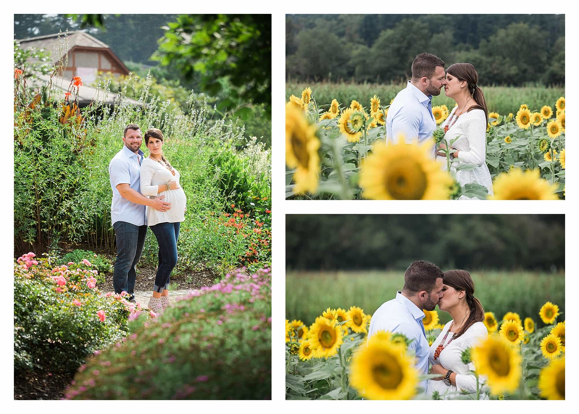 Maternity pictures at Biltmore House in Sunflowers
