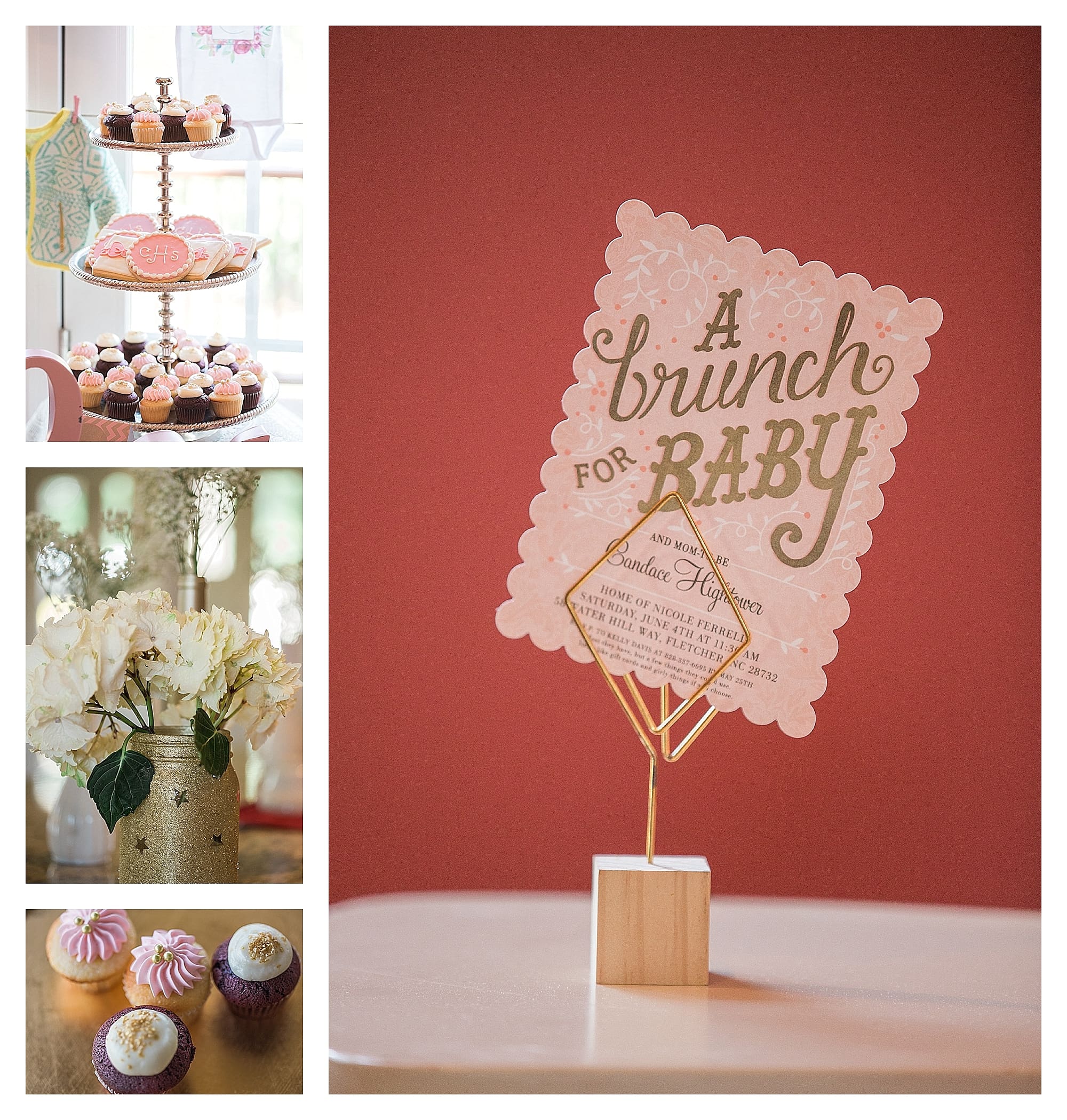 Asheville Event Photographer