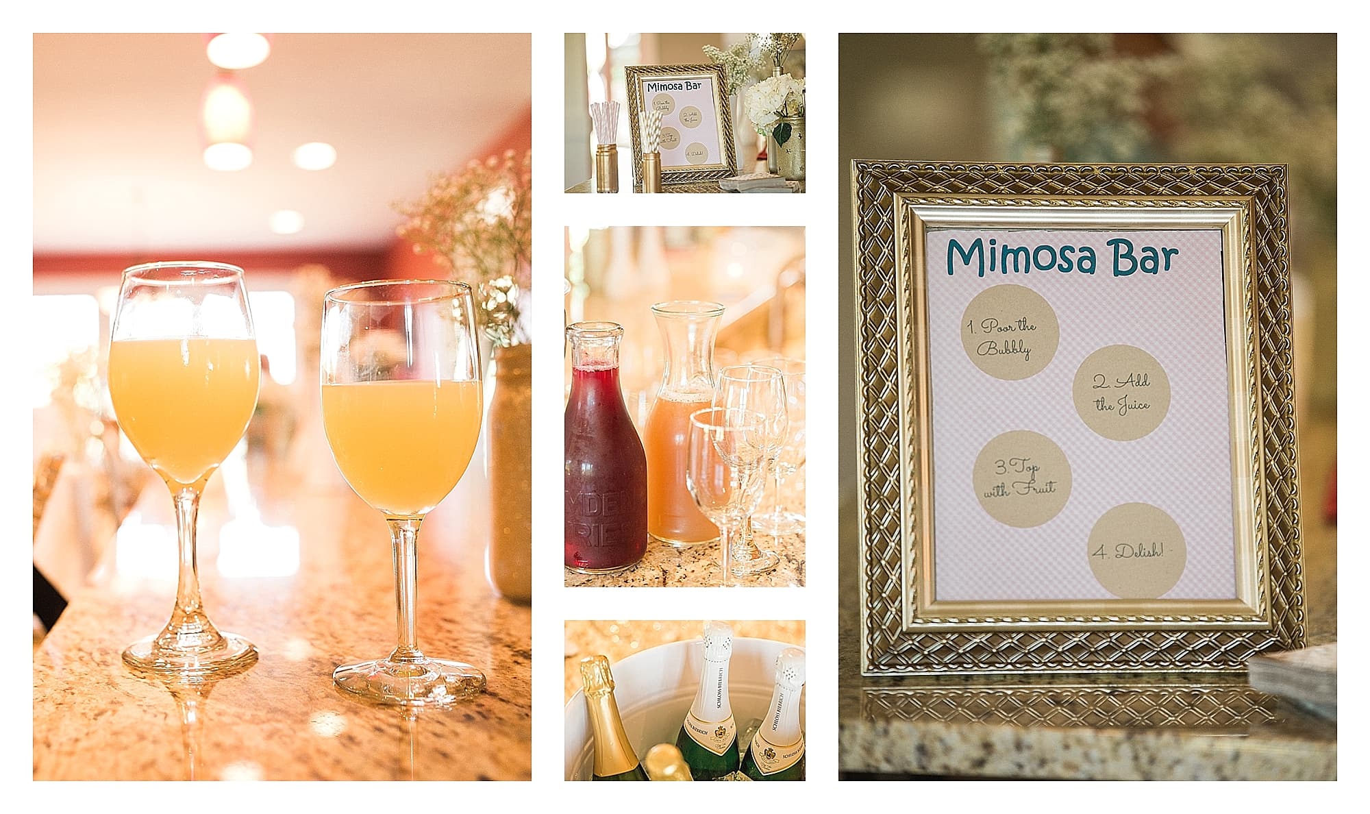 Asheville Event Photographer