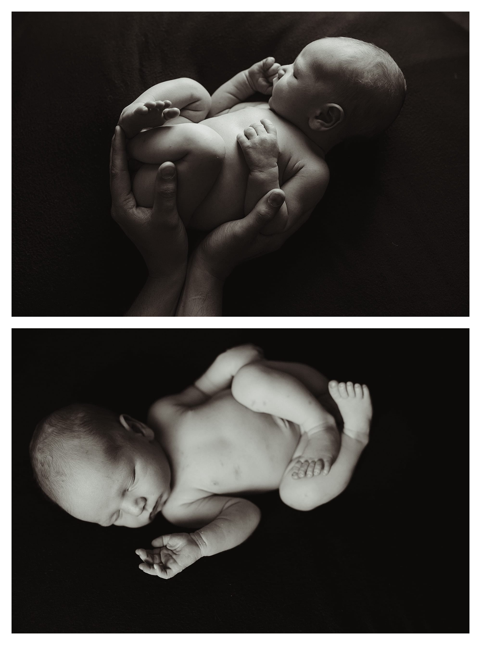 Asheville Lifestyle Newborn Photographer