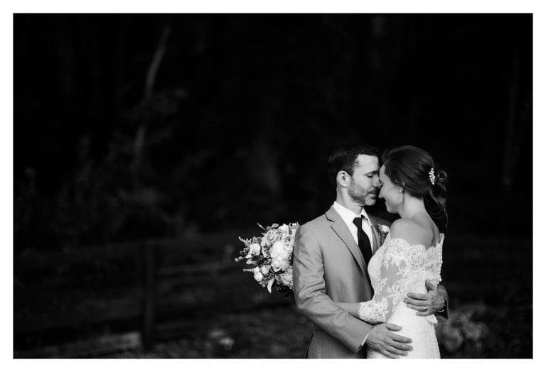 Weaverville Wedding Photographer