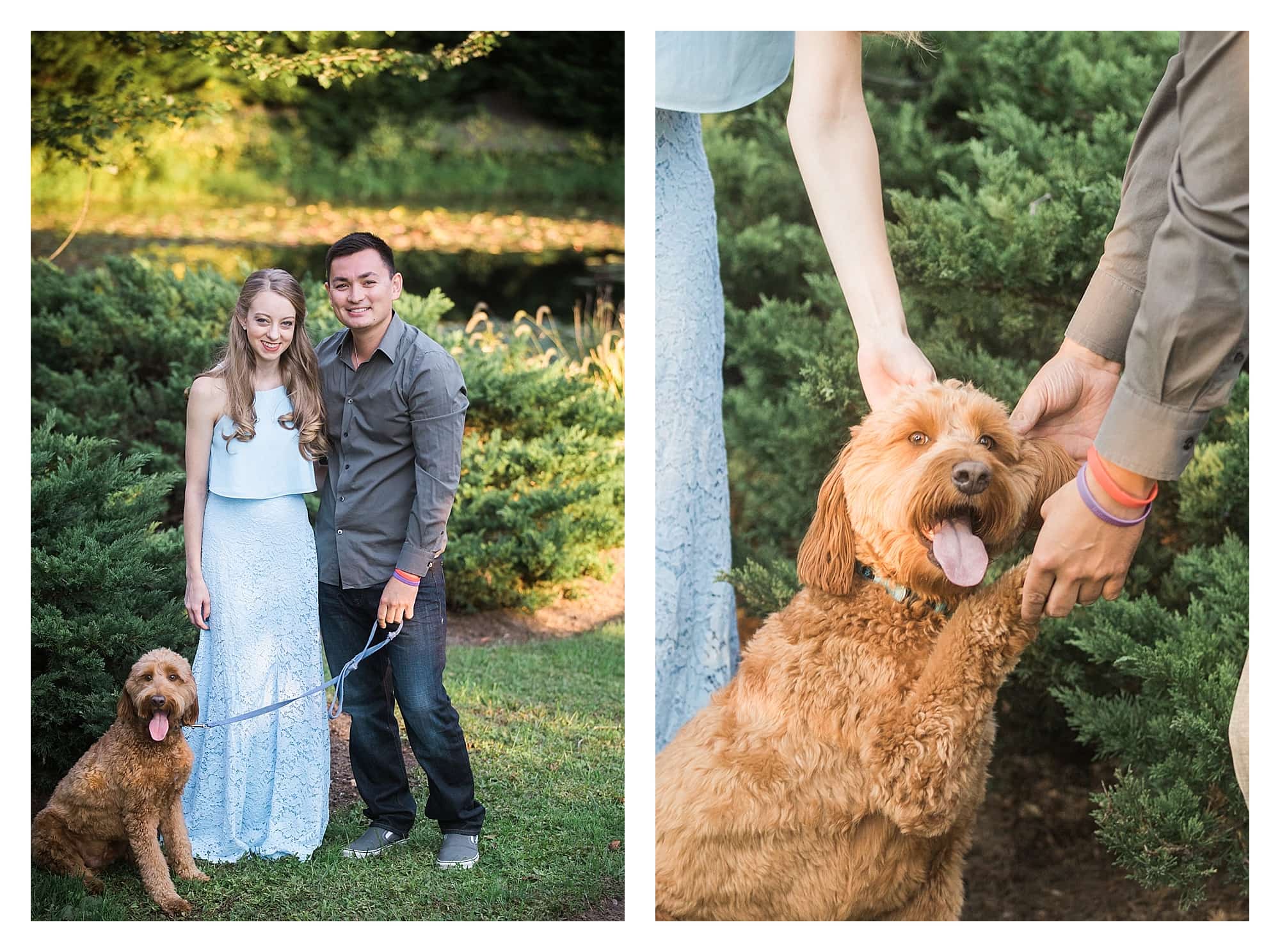 Honeysuckle HIll Engagement pictures with dog