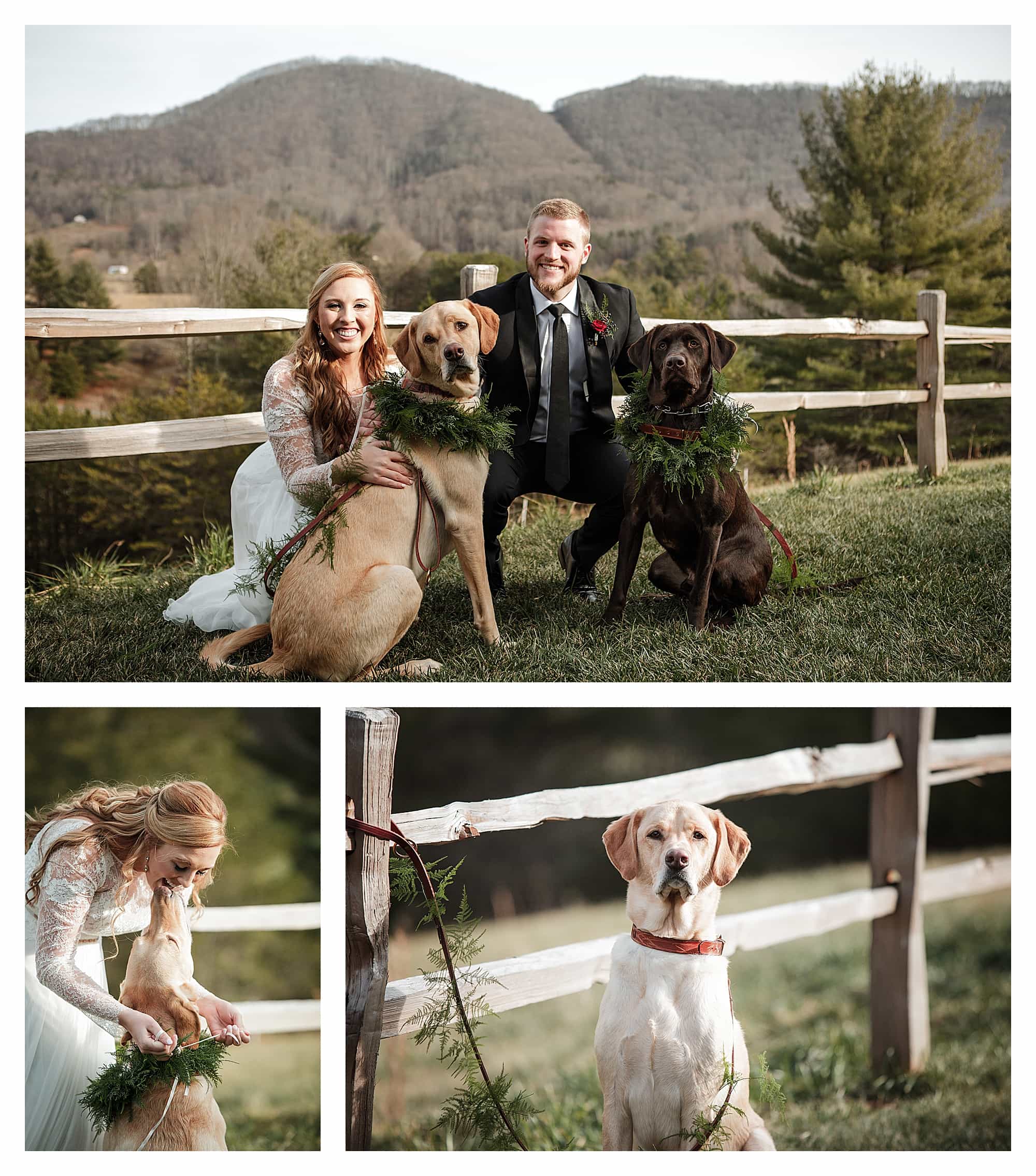 Bride-and-groom-with dogs