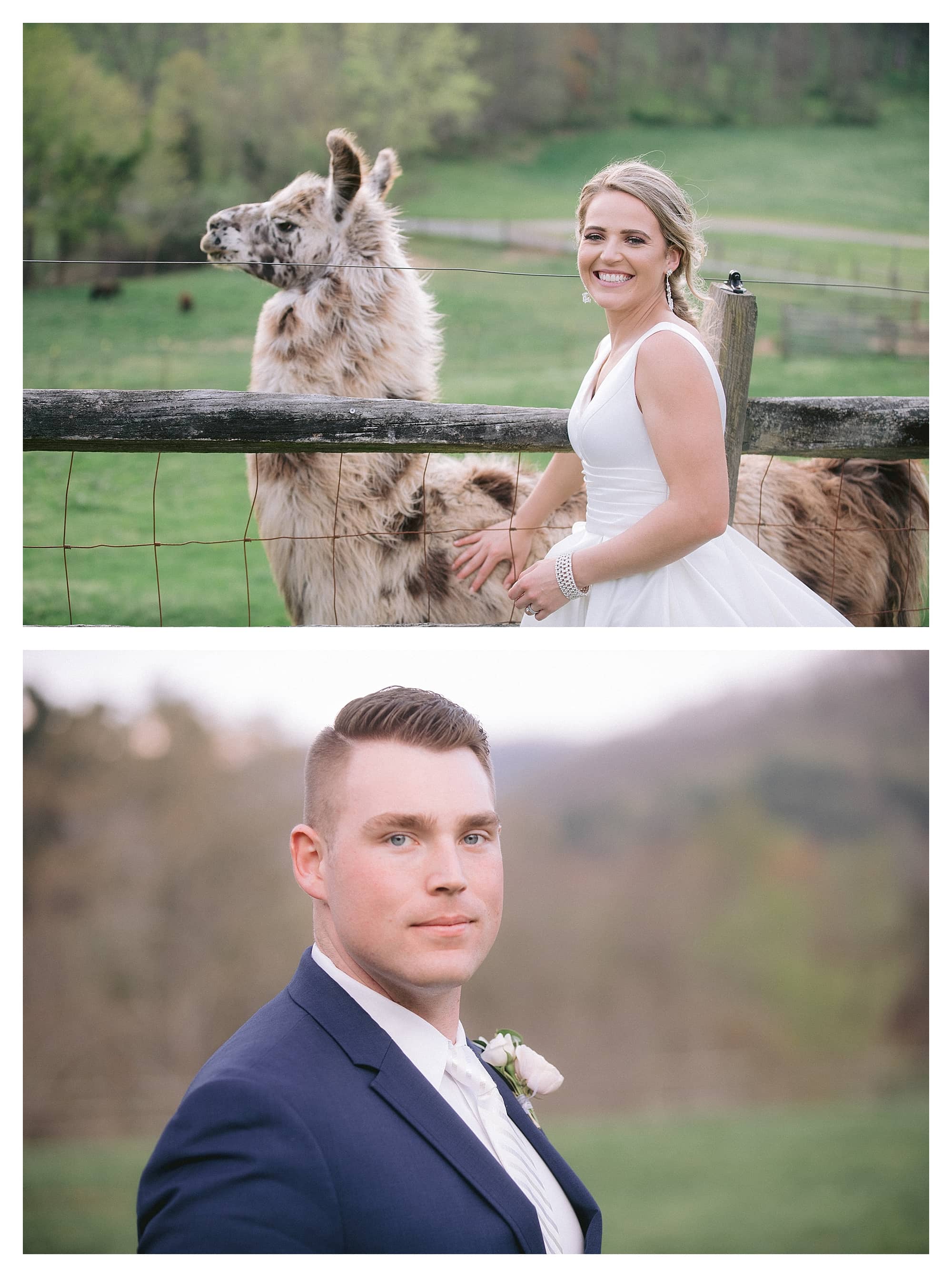 Bride and groom close up photos in grassy field