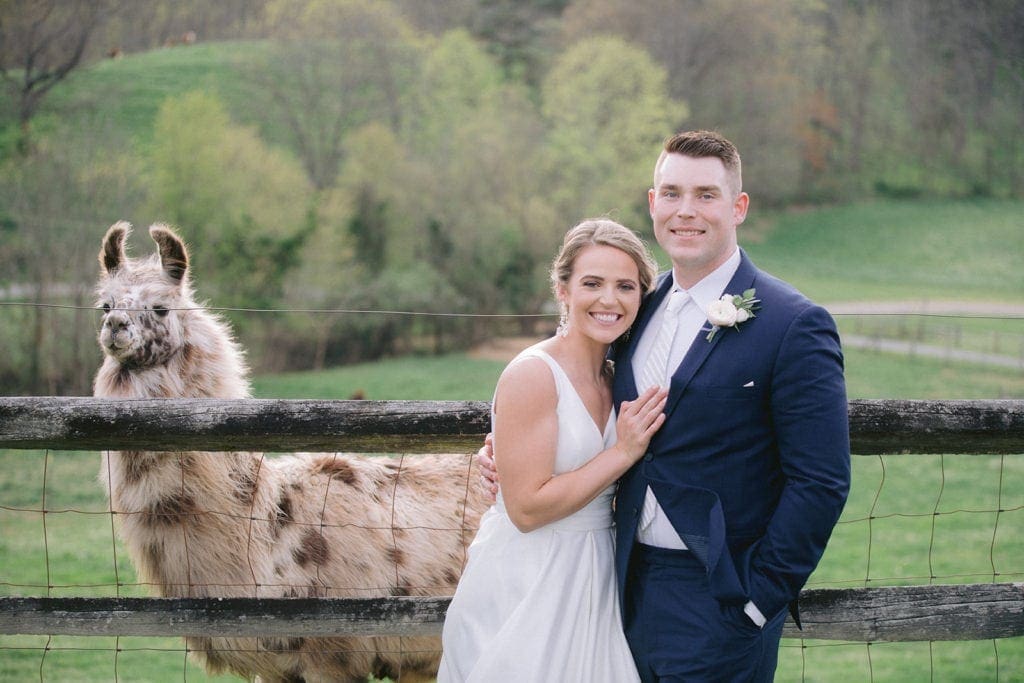Claxton Farms Wedding with llama