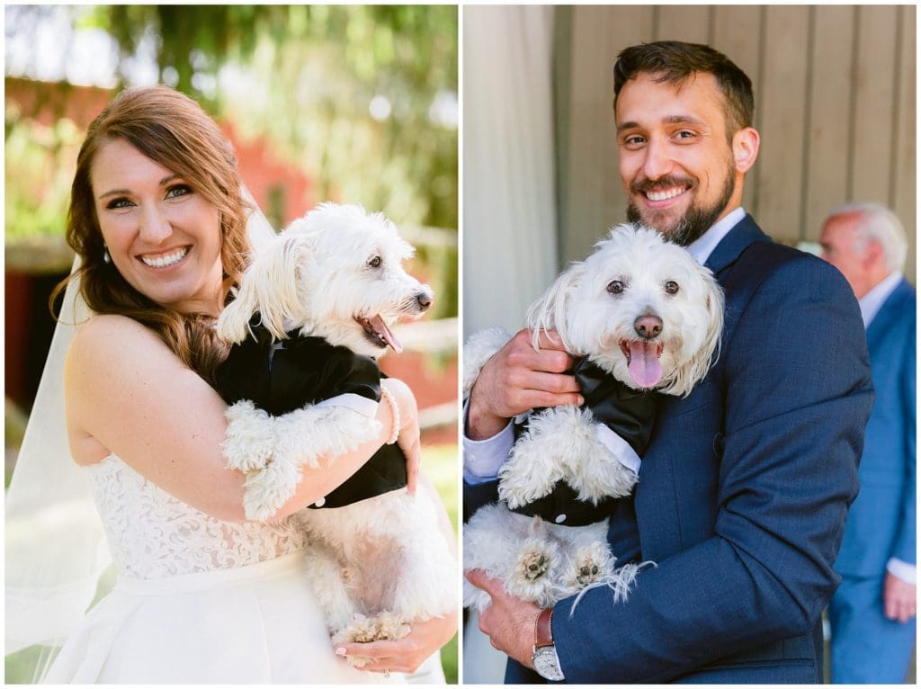 Bride and groom with their dog in a tuxedo on their wedding day.