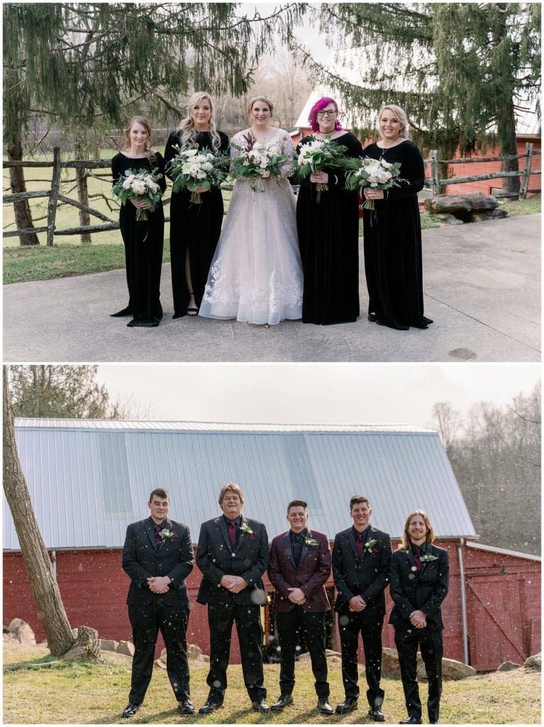 Bridal party photos at Honeysuckle Hill with snow flurries  | Asheville Wedding Photographer