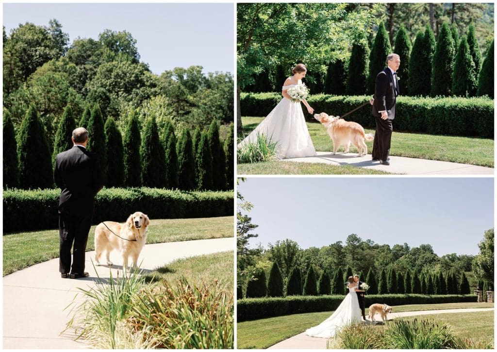 Four pictures of a bride and groom walking with their dog.