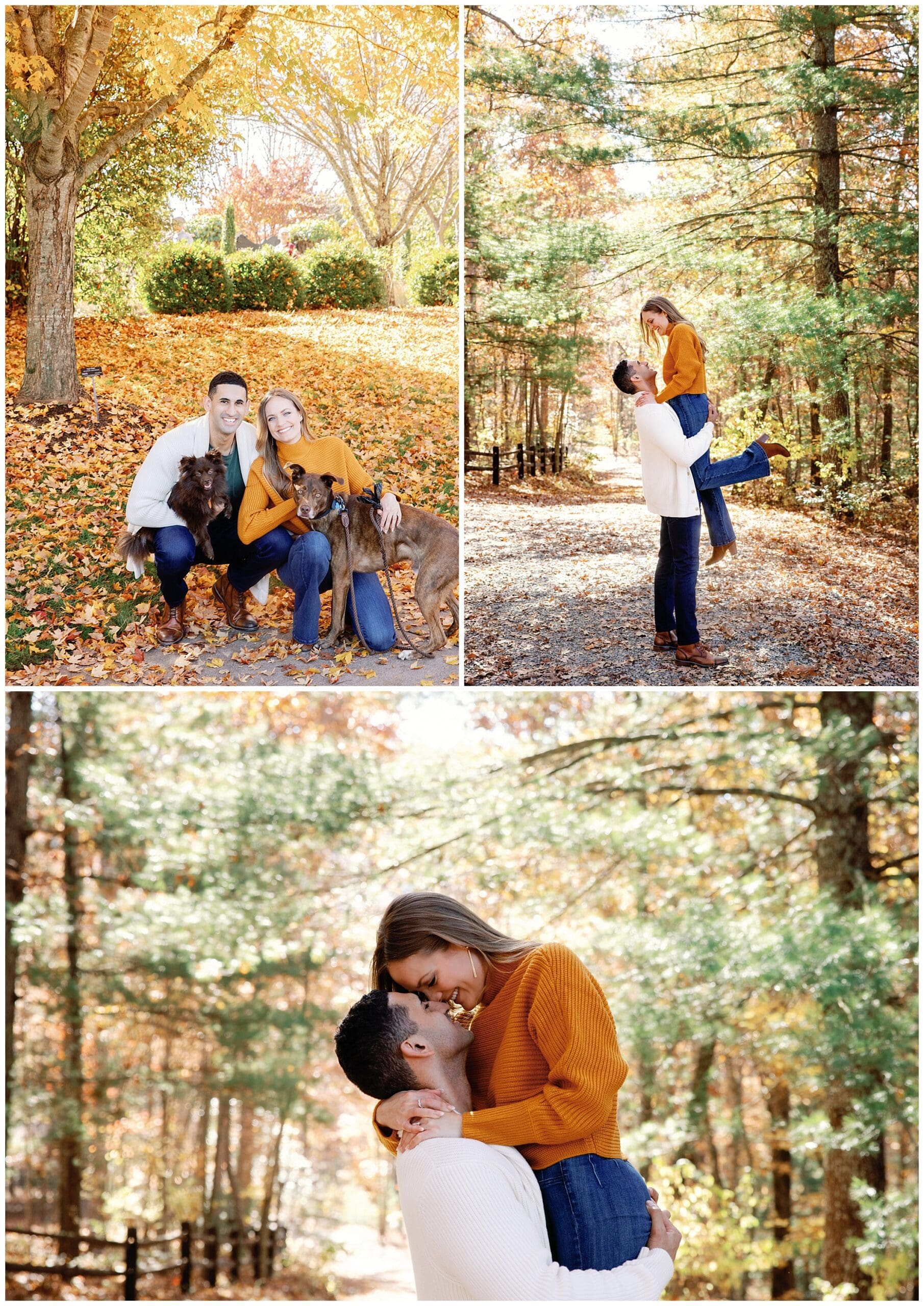 The vibrant fall foliage provides a stunning backdrop as the groom-to-be lifts his bride, showcasing their playful and affectionate connection. The warm autumn colors add a cozy and intimate feel to the shot.