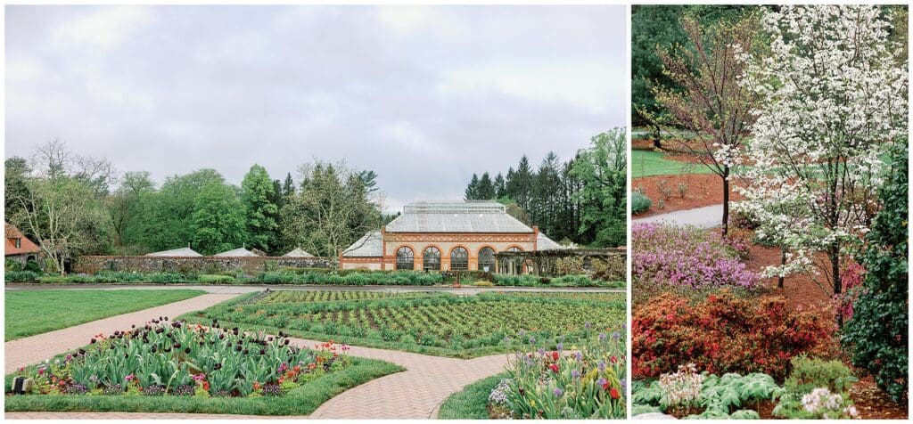 Lush botanical garden featuring tulips and a glass greenhouse, ideal for a spring engagement session, with a flowering white tree and pink blossoms on the right.