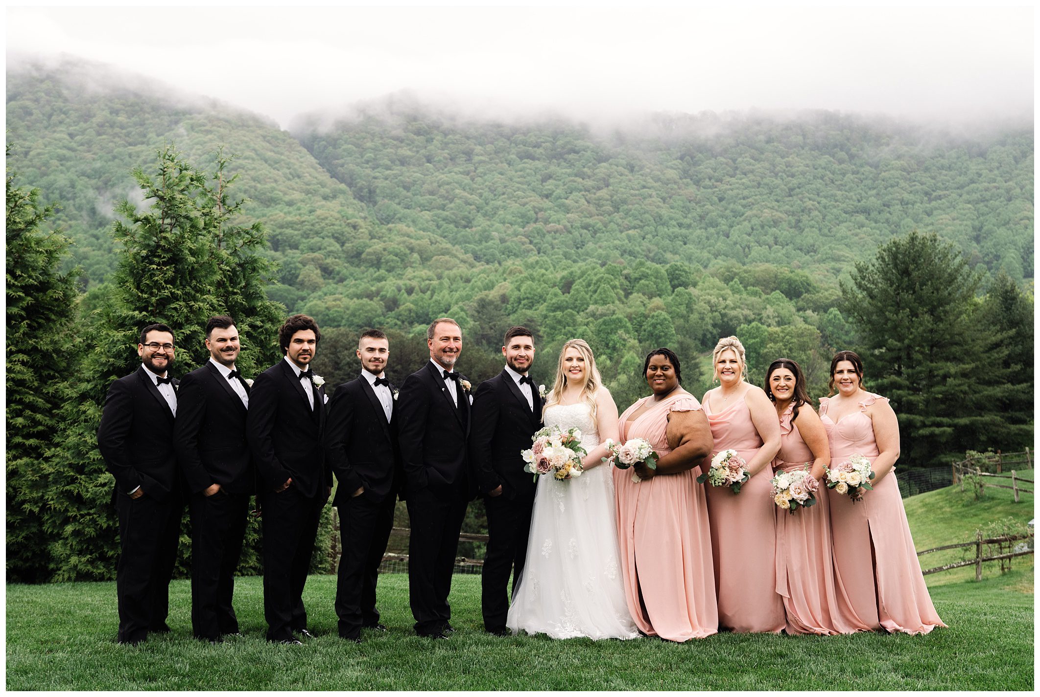 Wedding party of ten people standing in a row outdoors with a rain-covered mountain backdrop at Chestnut Ridge. Men in suits, bride in white, bridesmaids in pink.