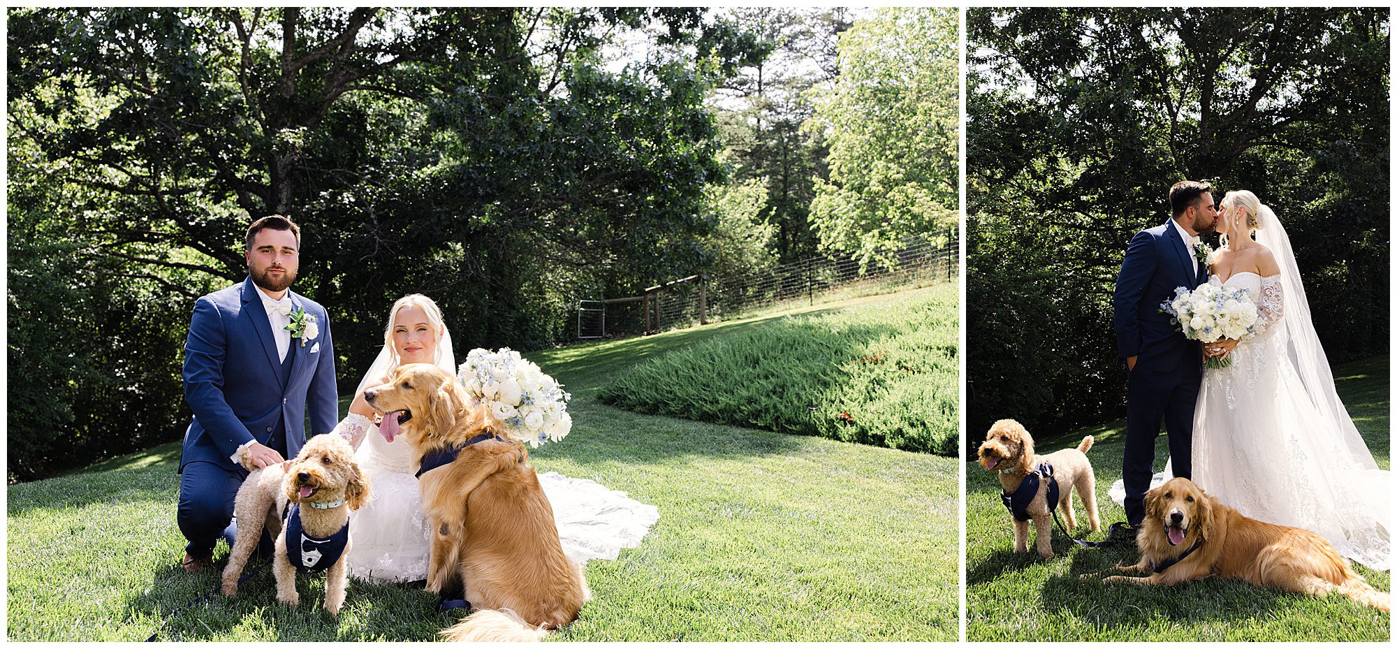 Bride and groom pose outdoors with two dogs; one image shows them sitting on the grass, the other standing and kissing. The bride holds a bouquet, and the dogs wear harnesses. Trees and greenery surround them.