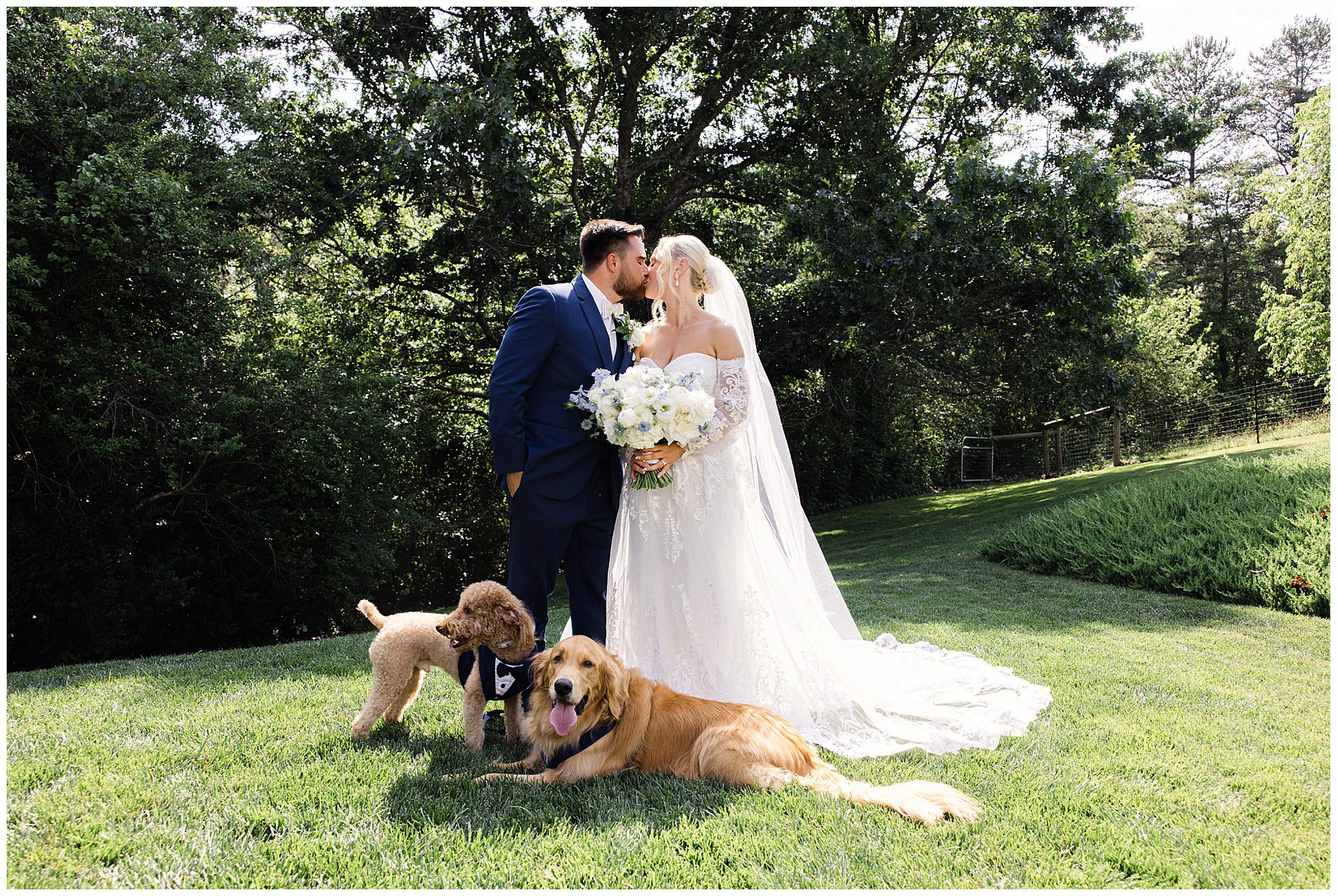 A bride and groom in wedding attire kiss outside on a lawn, accompanied by two dogs; one poodle and one golden retriever, surrounded by greenery.