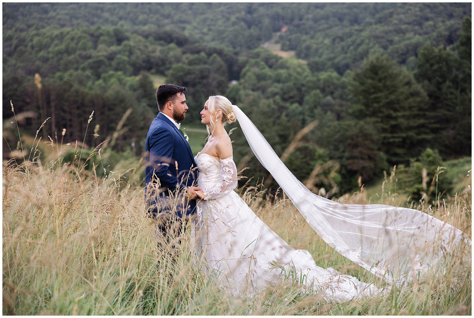 A bride and groom stand together in a field of tall grass, with the bride's veil flowing in the wind. A forested landscape stretches out behind them.