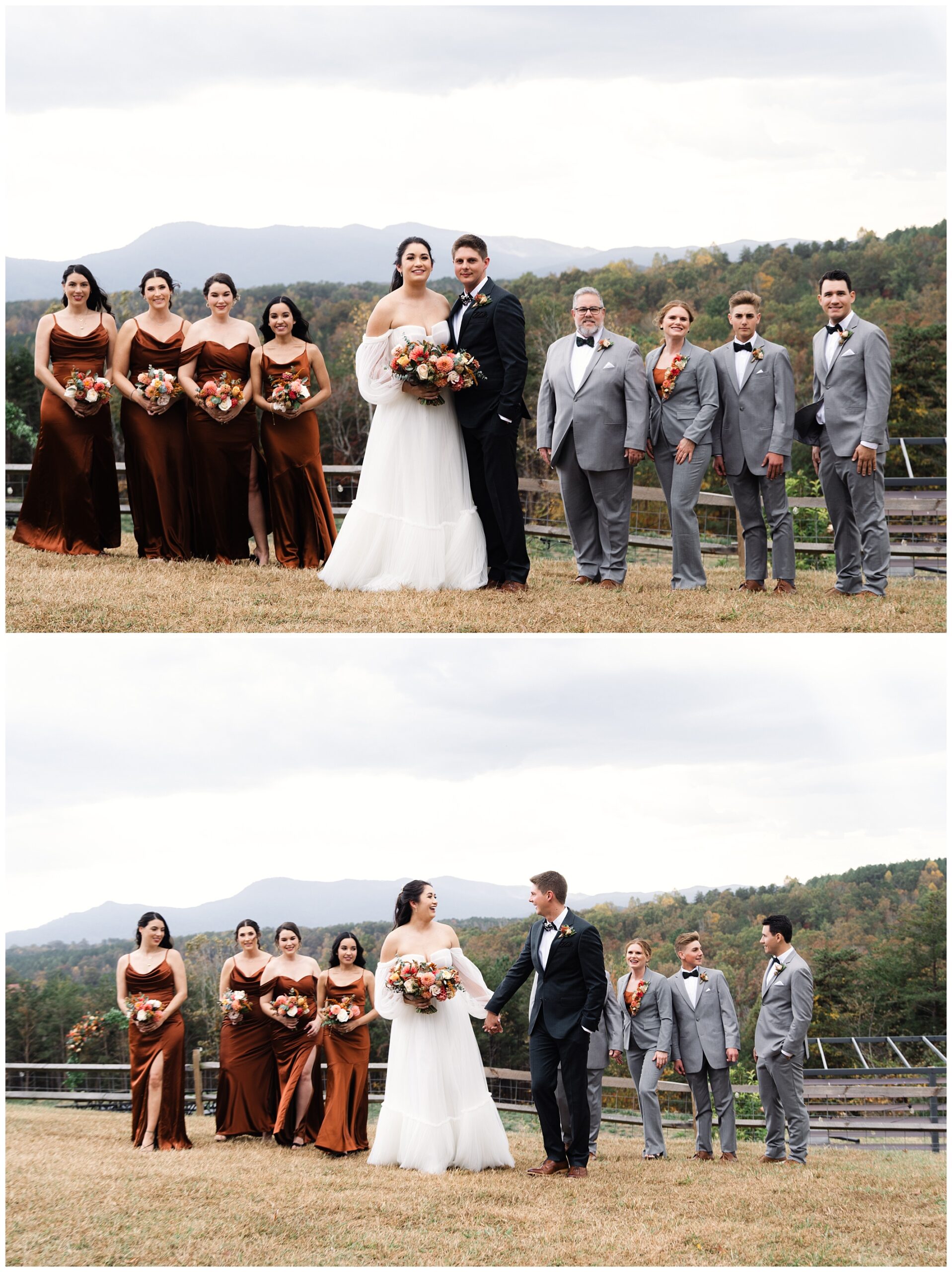 A bride and groom stand with their wedding party outdoors, featuring bridesmaids in brown dresses and groomsmen in gray suits, with a mountain landscape in the background.