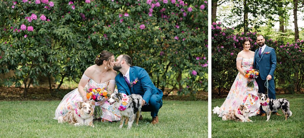 A couple in wedding attire poses with two dogs in front of blooming bushes at their Asheville NC spring garden wedding; in one photo, they kiss, and in the other, they stand side by side holding leashes and a bouquet.