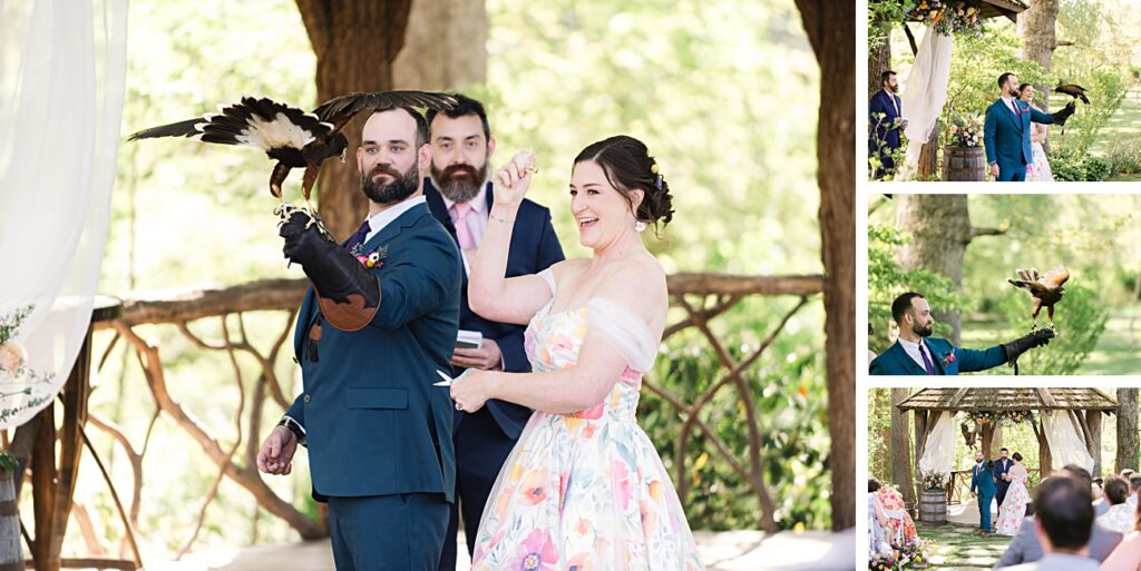 Bride and groom at a Spring Garden Wedding in Asheville, NC hold a bird of prey on a gloved hand as guests watch; a handler stands nearby.