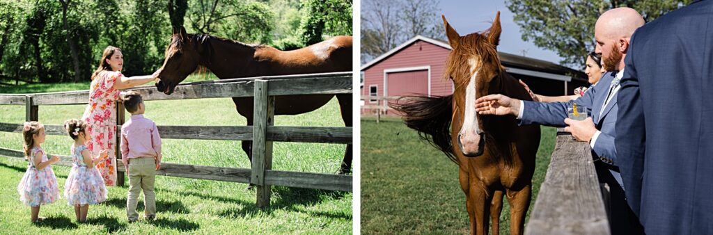 Two photos: On the left, a woman and three children pet a horse by a wooden fence in Asheville, NC; on the right, adults pet a horse near a red barn, evoking the charm of a spring garden wedding.