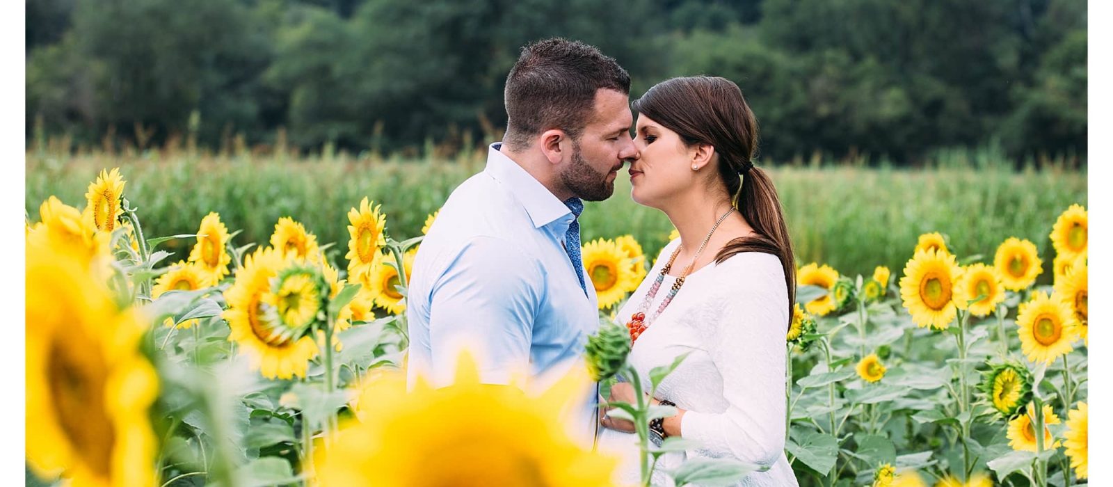 Couple kissing in sunflowers