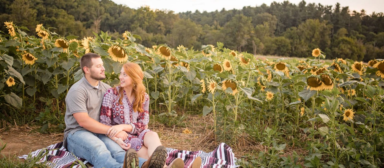Couple sitting in sunflower field holding hands at Biltmore Estate North Carolina photography done by Kathy Beaver.